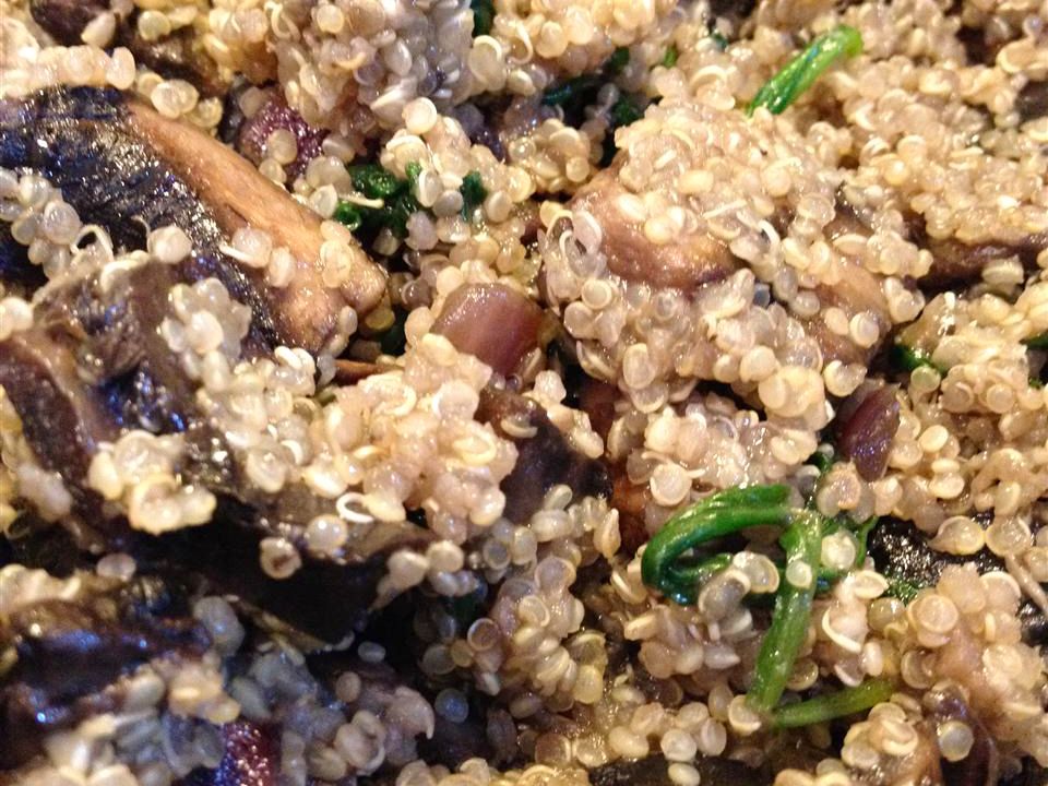 Quinoa với nấm