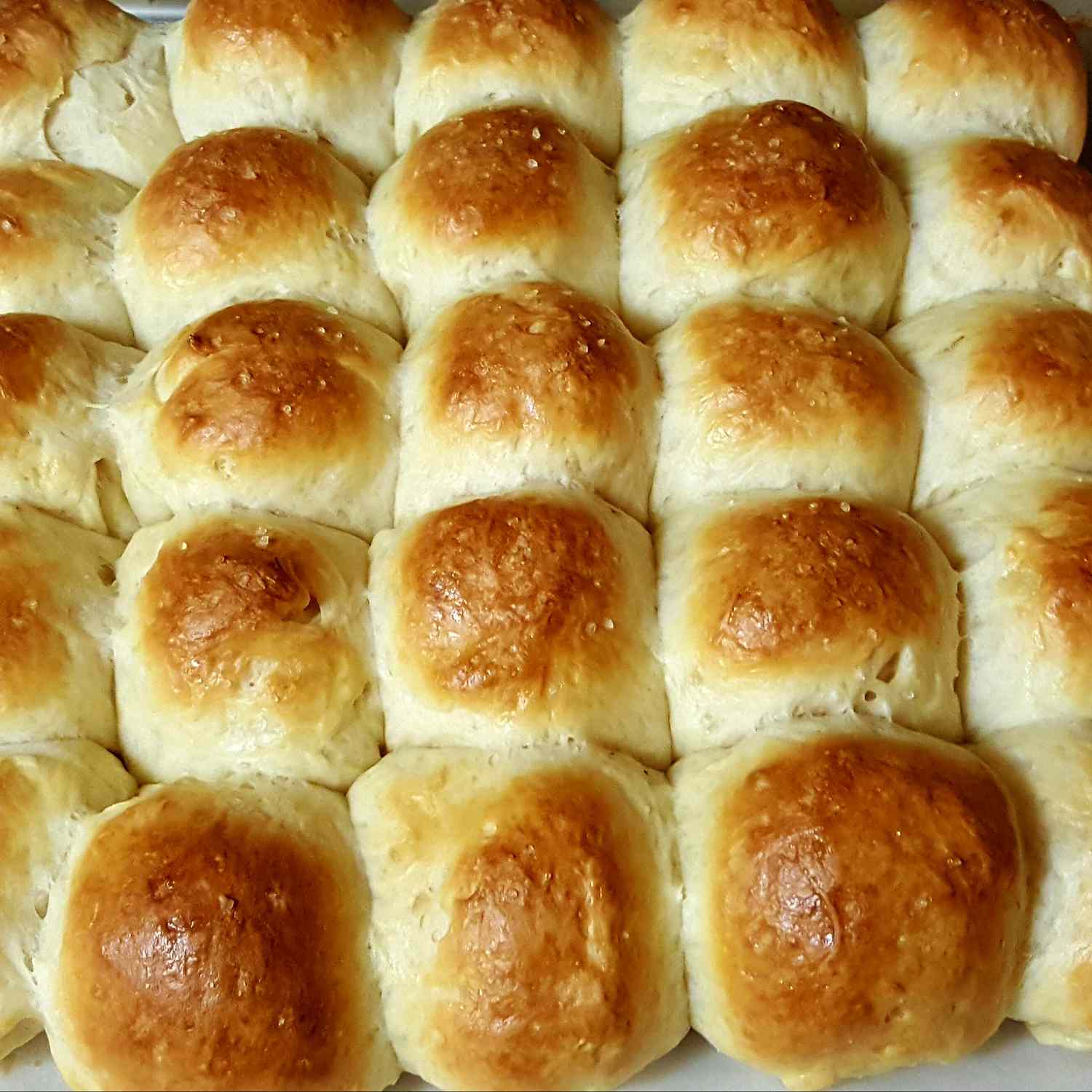 Rosemary Pull-apart Dinner Rolls