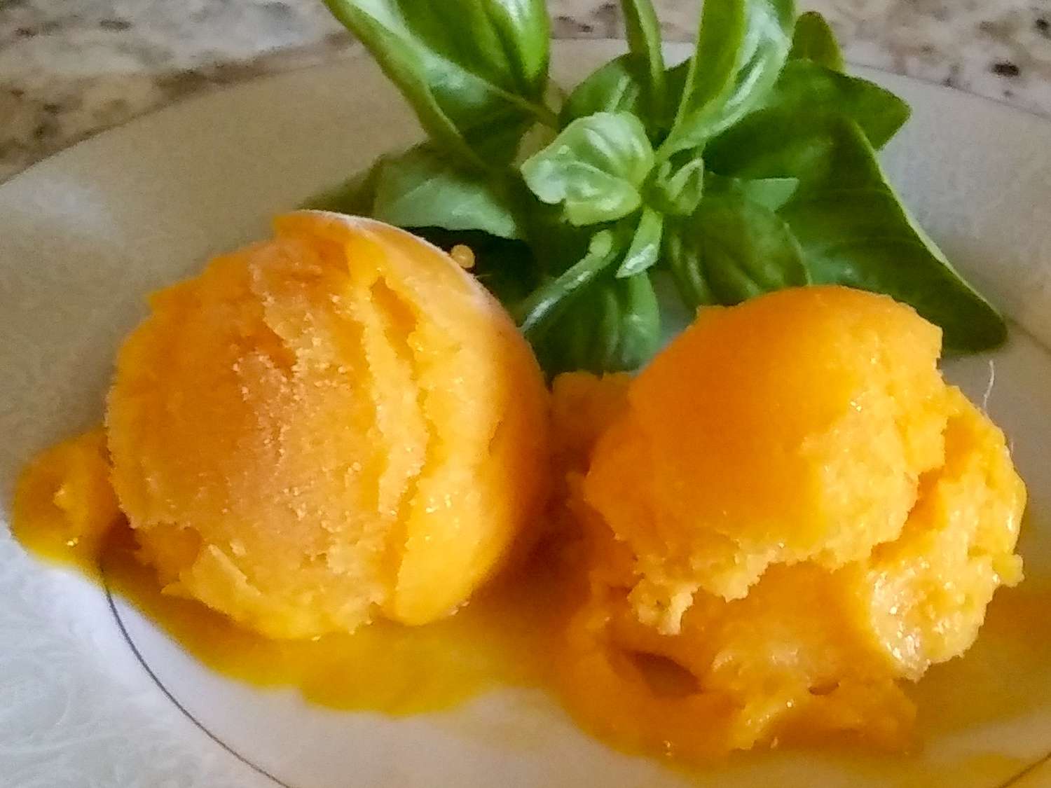 Mango Sorbet