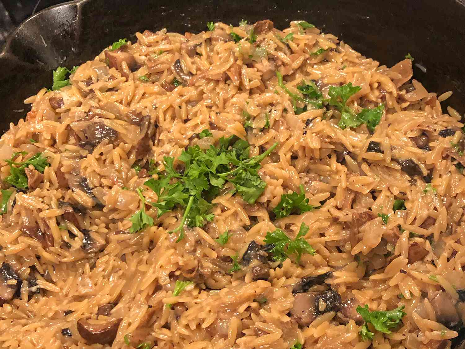 Orzo nấm