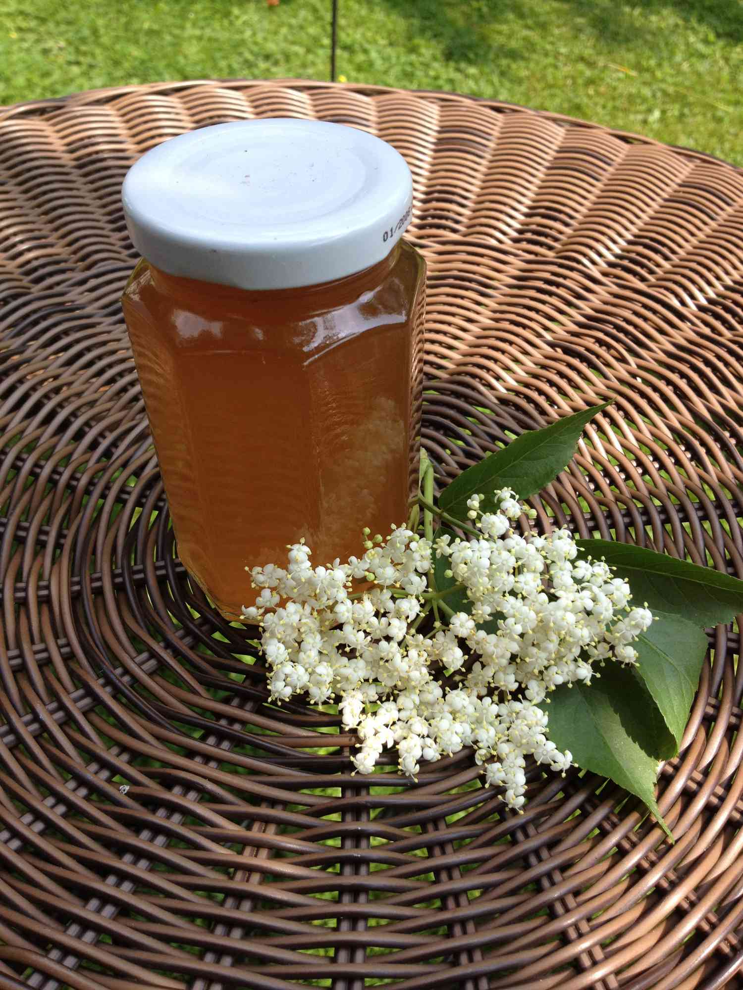 Jelly táo Elderflower