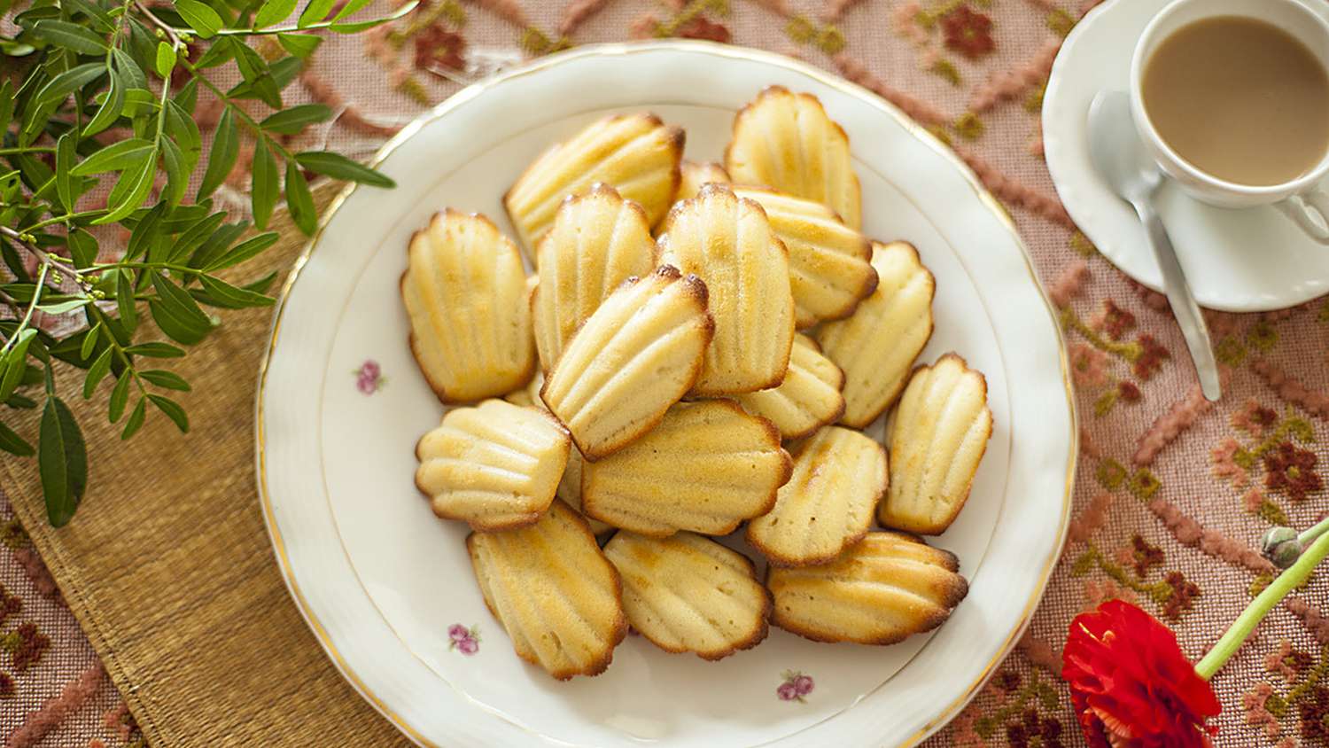 Madeleines thật