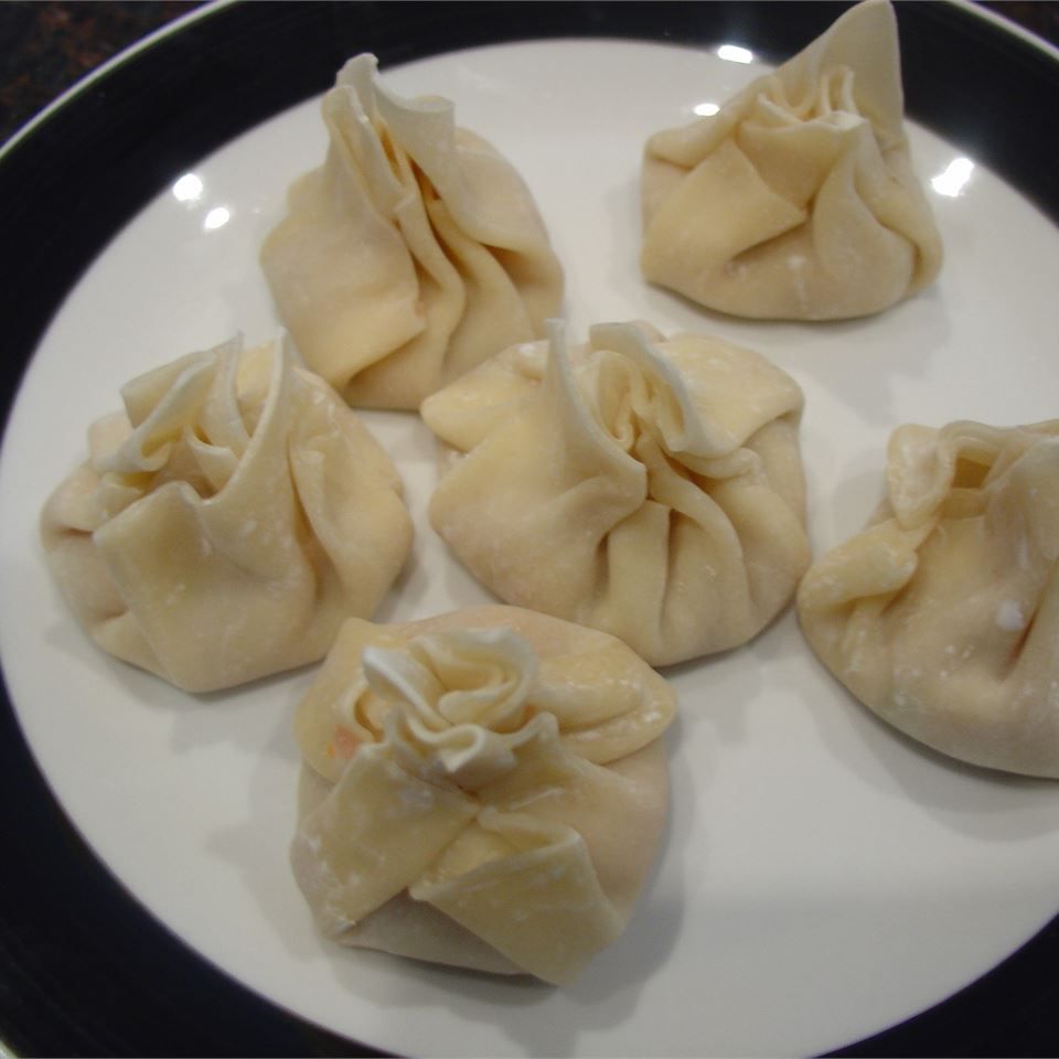 BLANDIS WONTONS