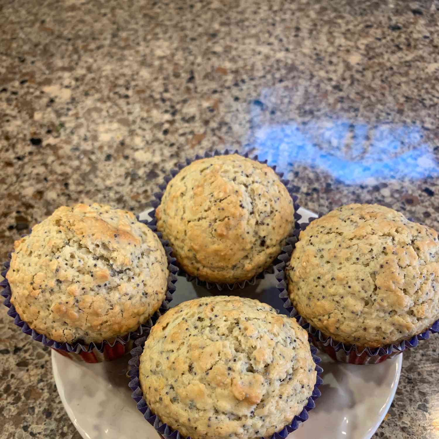 Double Oat Raisin Poppyseed Buffins