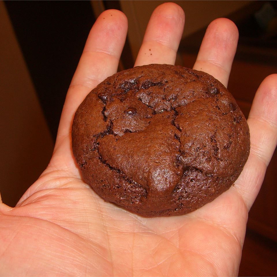 Bánh quy Brownie