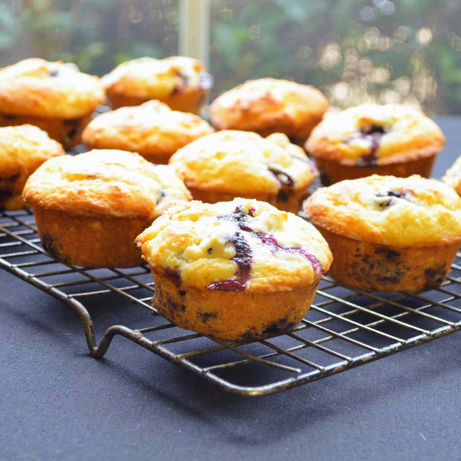 Đầu bếp Johns Blueberry Buffins