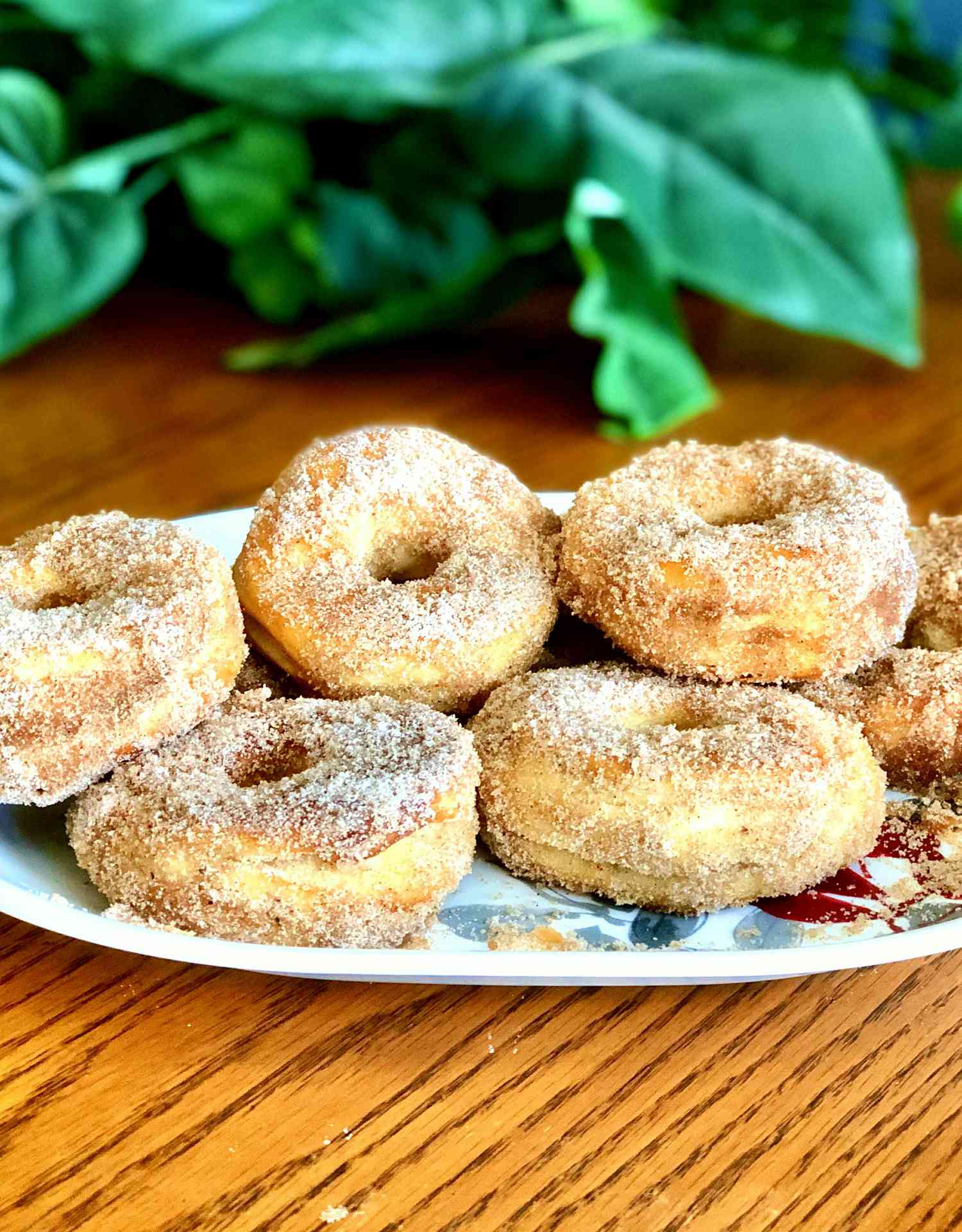 Air Fredy Cinnamon-Sugar Donuts