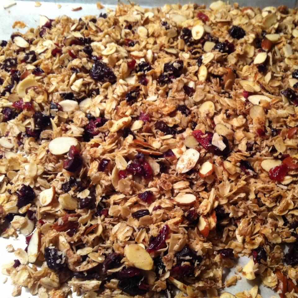 Cranberry-Hibiscus granola