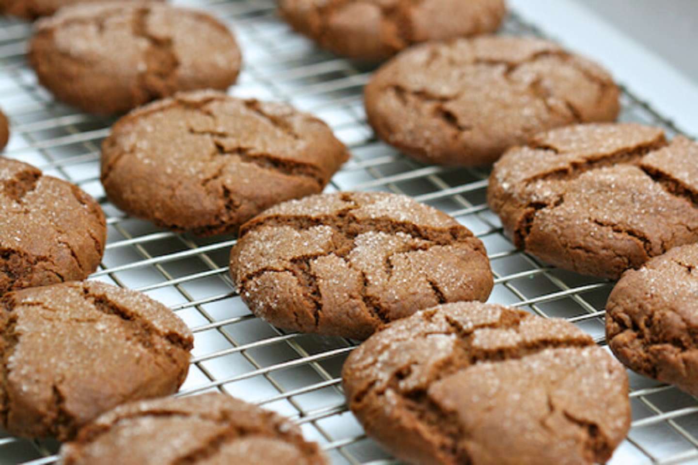 Melissas Grandmas Ginger Lace Cookies