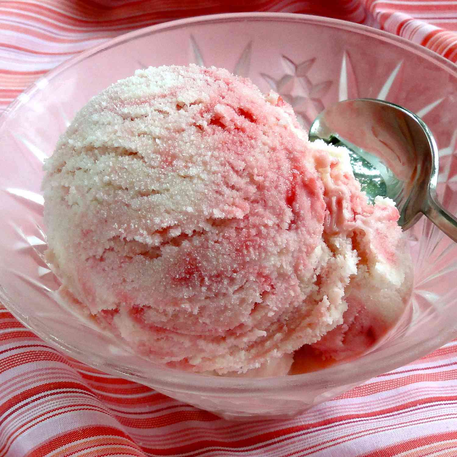 ShoreCooks Raspberry Swirl Vanilla Bean Ice