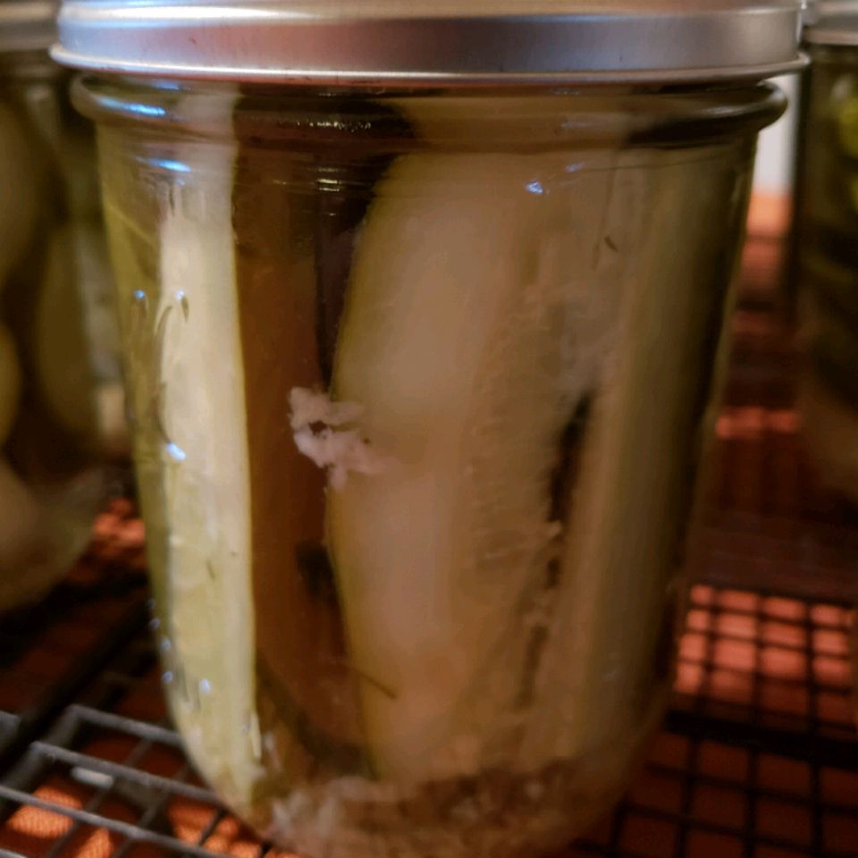 Blue Ribbon Horseradish Pickles