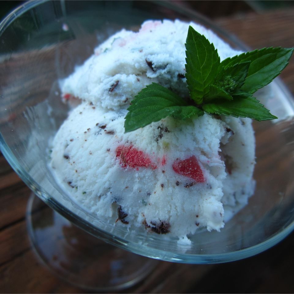 Simple Mint Chocolate Chip Strawberry Ice