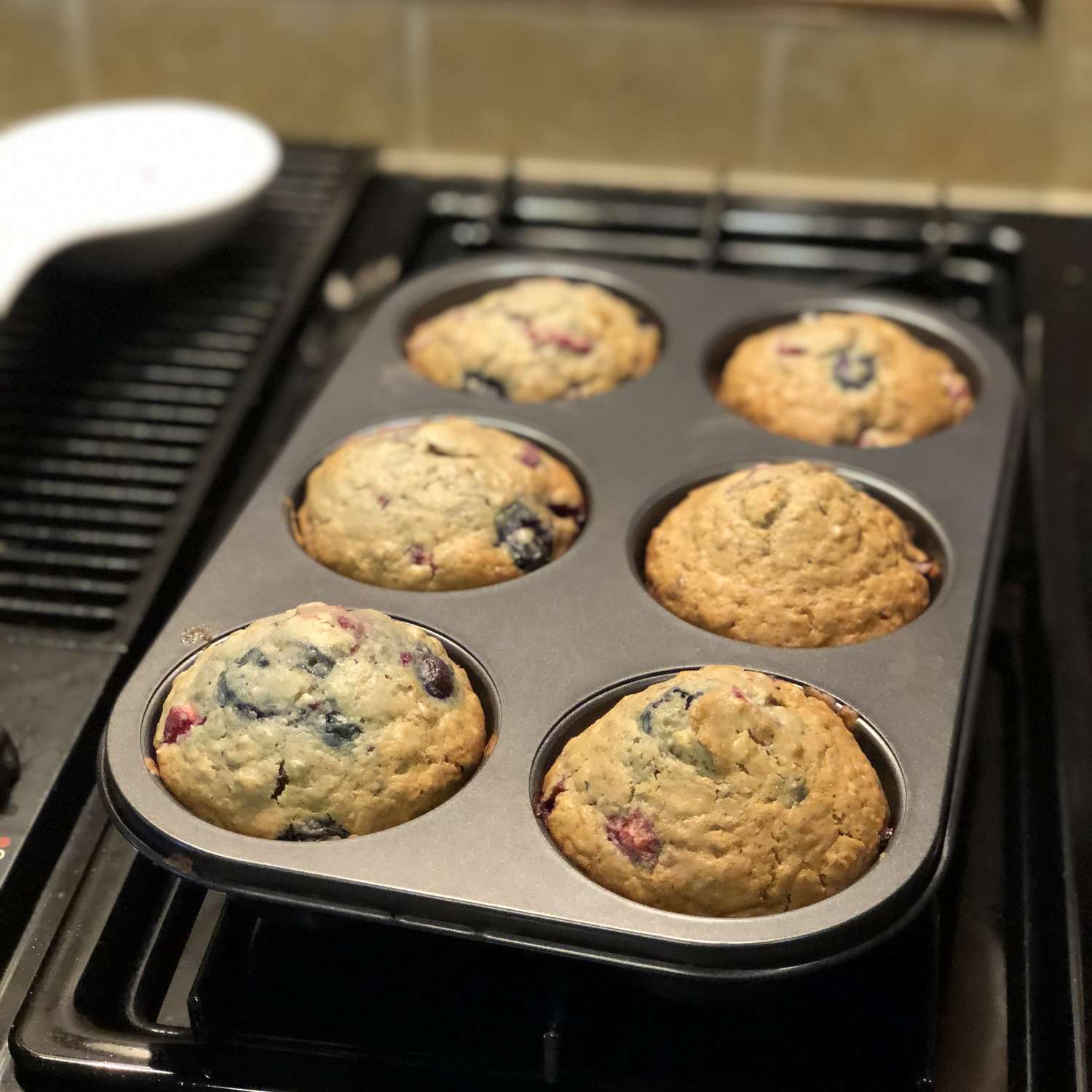 Saskatoon Berry Oat Buffins