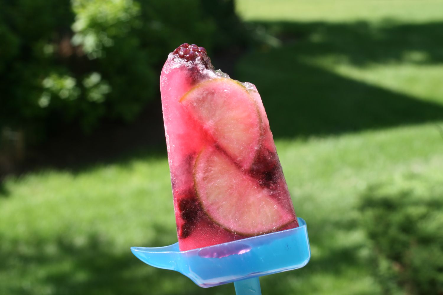 BlackBerry Lime Gin và Tonic Ice Pops