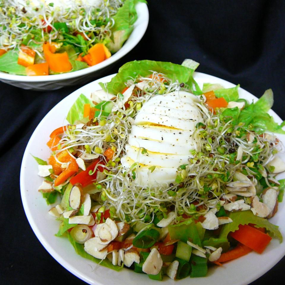 Chim làm tổ salad