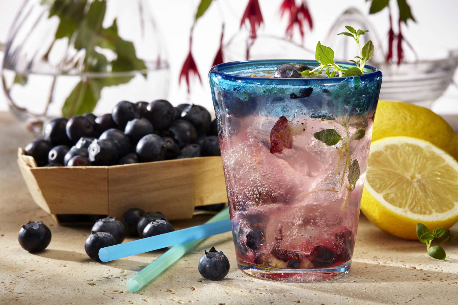 BLUEBERROBER STEVIA LEMONADE