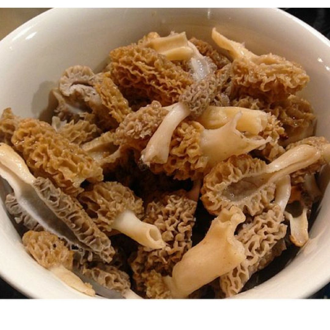 Nấm Morel