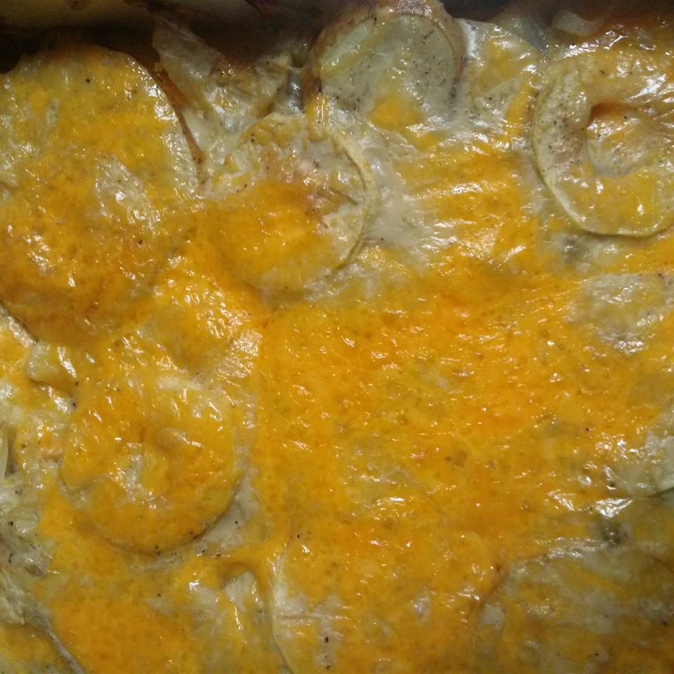 Casserole rễ cây thì là