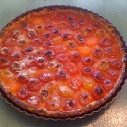 Mamies Wild Plum Tart