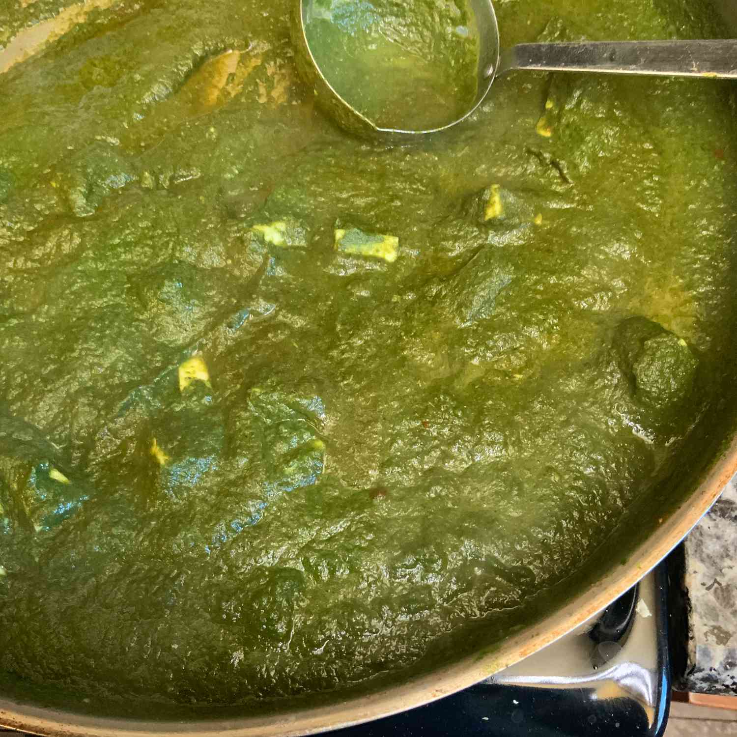 Palak Paneer (cà ri rau bina)