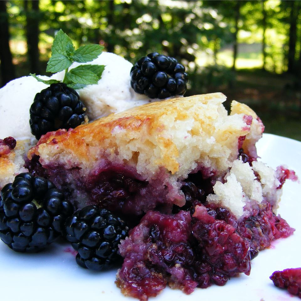 Cobbler blackberry