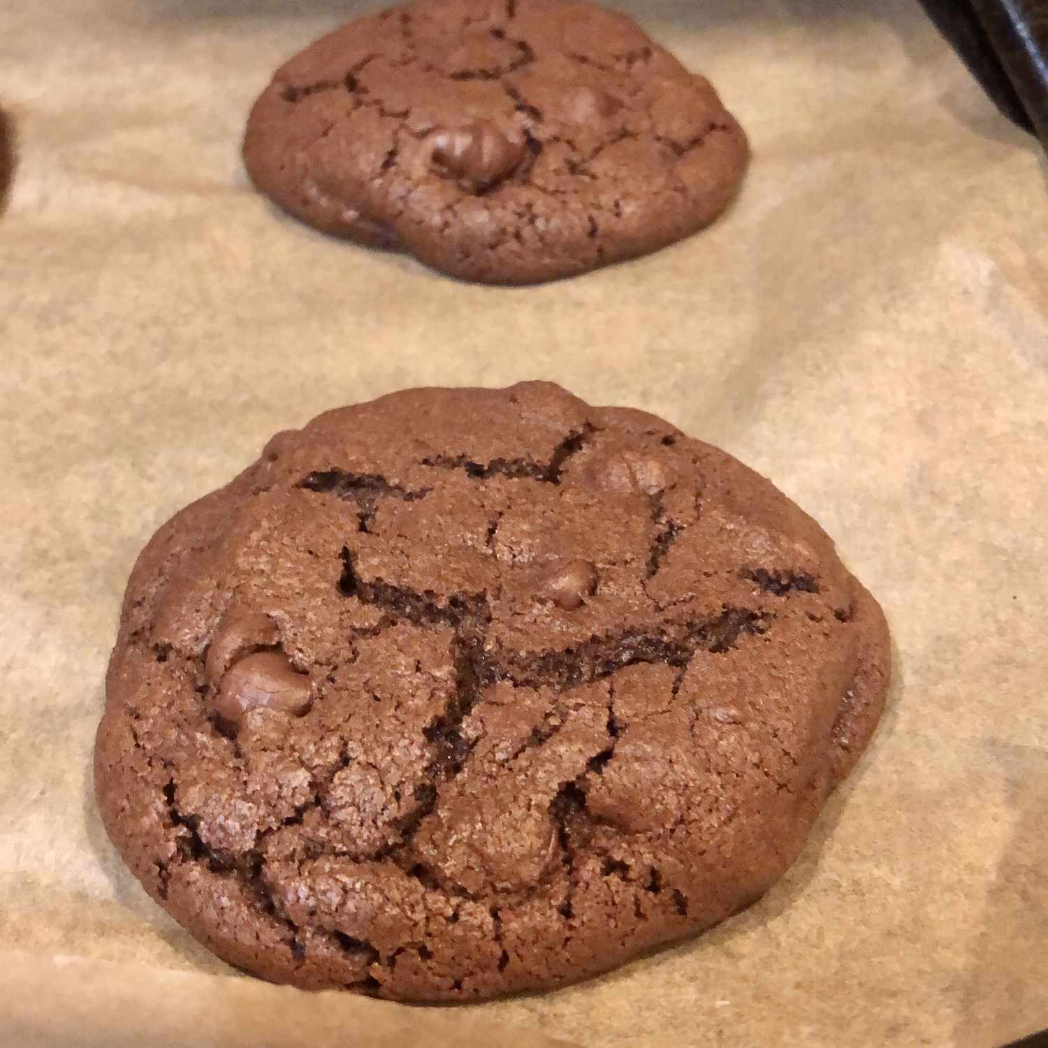 Sô cô la Chocolate Chip Cookies